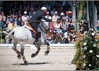 Pferd International 081